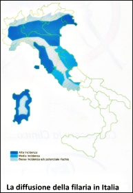 diffusione filariosi Italia167