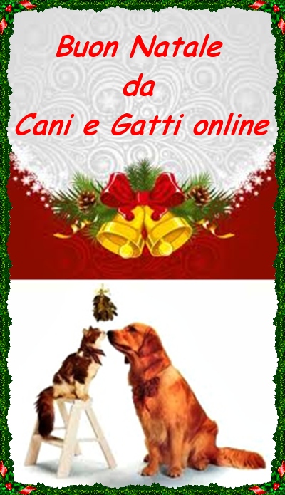 Buon Natale Animali.Tanti Auguri Di Buon Natale Cani E Gatti On Line
