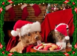 cani e gatti a tavola a Natale