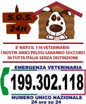 S.O.S veterinaria 24/24 h